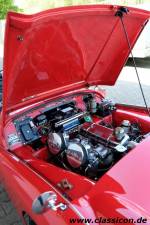 Image 25/40 of Triumph TR 3A (1959)