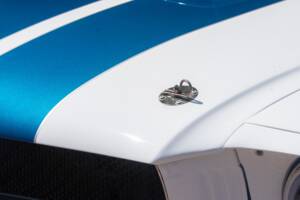 Bild 26/50 von Ford Shelby GT 350 (1965)