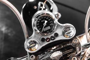 Bild 20/38 von Harley-Davidson DUMMY (2009)