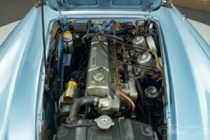 Immagine 5/19 di Austin-Healey 3000 Mk III (BJ8) (1966)