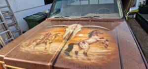 Immagine 11/110 di GMC Sierra 2500 (1975)