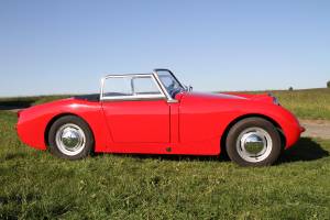 Afbeelding 6/53 van Austin-Healey Sprite Mk I (1960)