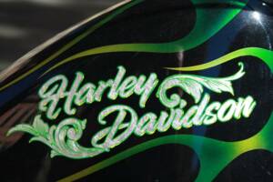 Imagen 50/50 de Harley-Davidson DUMMY (1995)