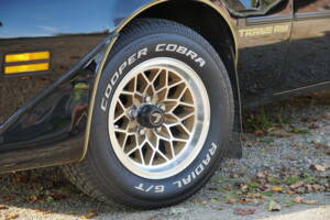 Afbeelding 69/69 van Pontiac Firebird TransAm (1979)