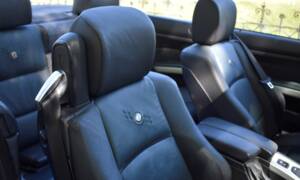 Bild 5/19 von ALPINA B3 Bi-Turbo (2008)