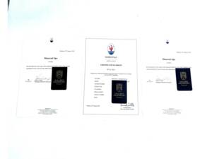 Image 10/50 of Maserati Indy 4900 (1971)