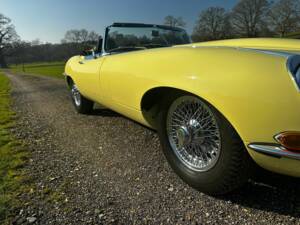 Afbeelding 23/100 van Jaguar E-Type (1968)