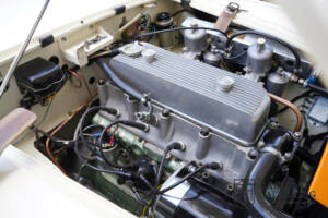 Bild 17/50 von Austin-Healey 100&#x2F;4 (BN1) (1954)