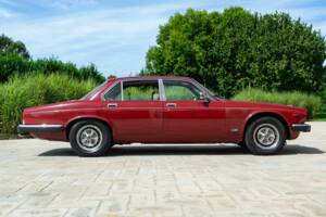 Bild 4/50 von Jaguar XJ 6 4.2 (1981)