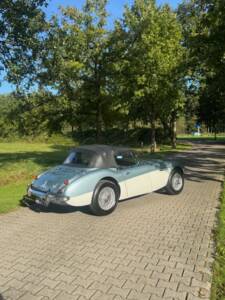 Bild 2/7 von Austin-Healey 3000 Mk III (BJ8) (1966)
