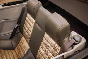 Image 32/49 of Ford Mustang GT (2006)