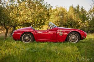 Image 1/42 of Moretti 750 Sport Spider (1955)
