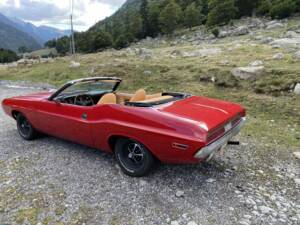 Immagine 5/8 di Dodge Challenger (1970)
