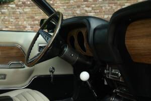 Image 28/50 of Ford Shelby GT 500 (1969)