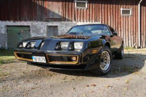 Afbeelding 18/69 van Pontiac Firebird TransAm (1979)