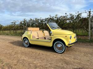 Bild 6/80 von FIAT Ghia 500 Jolly (1972)