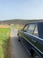 Image 15/52 of Mercedes-Benz 250 S (1967)