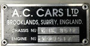 Image 25/50 de AC Cobra 289 (2000)