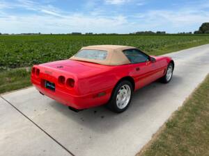 Imagen 11/43 de Chevrolet Corvette Convertible (1995)