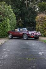 Bild 14/31 von Jaguar E-Type V12 (1974)