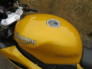 Image 13/39 of Triumph DUMMY (2006)