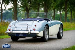 Immagine 15/44 di Austin-Healey 3000 Mk II (BN7) (1962)