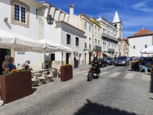 Image 14/51 of BSA B 44 (1966)