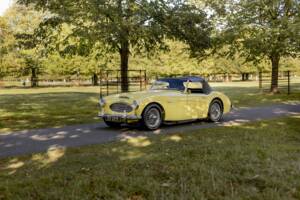 Bild 9/50 von Austin-Healey 3000 Mk I (BT7) (1960)