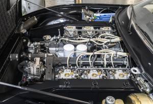 Bild 36/39 von Ferrari 365 GTC/4 (1972)
