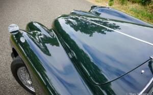 Afbeelding 12/59 van Jaguar XK 140 SE DHC (1955)
