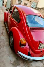 Bild 8/15 von Volkswagen Käfer 1200 Mexico (1982)