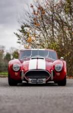 Afbeelding 8/50 van AC Cobra 289 (2000)
