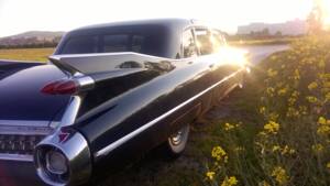 Image 87/100 of Cadillac 75 Fleetwood Imperial (1959)