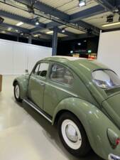 Bild 14/23 von Volkswagen Escarabajo 1200 (1960)