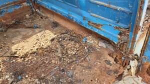 Bild 36/50 von Volkswagen T1 Kombi (1957)