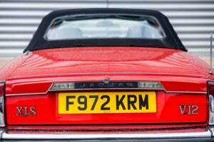Imagen 37/50 de Jaguar XJ-S Convertible (1989)