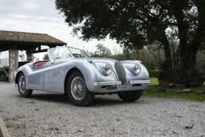 Image 5/8 of Jaguar XK 120 OTS (1953)