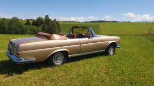 Image 33/38 of Mercedes-Benz 280 SE 3,5 (1969)