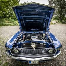 Image 6/6 of Ford Mustang GT (1969)