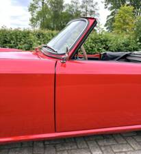 Immagine 31/50 di Triumph TR 4 (1961)