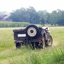 Imagen 22/25 de Willys MB (1943)