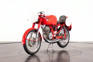 Imagen 6/17 de Benelli Leoncino Bassotto (1954)