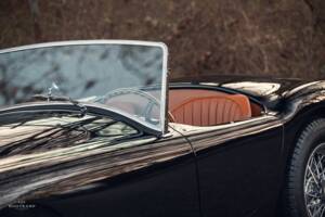 Image 10/18 de AC Ace Bristol (1959)