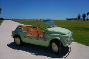 Image 3/73 of FIAT Ghia 500 Jolly (1970)