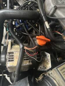 Afbeelding 31/53 van Land Rover Range Rover Classic 3.9 (1993)