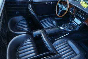 Imagen 21/50 de Austin-Healey 3000 Mk III (BJ8) (1967)