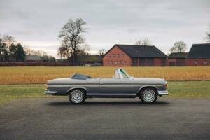 Afbeelding 5/25 van Mercedes-Benz 250 SE (1967)