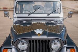 Bild 34/50 von Jeep CJ-7 Renegade (1982)
