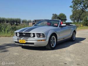 Bild 11/38 von Ford Mustang V6 (2006)