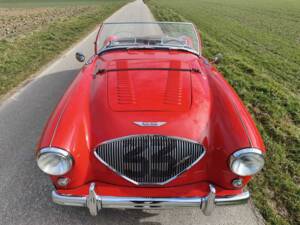 Imagen 19/24 de Austin-Healey 100/4 (BN1) (1955)